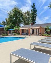 Briarwood Apartments image 9