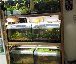 Hier befinden sich die grösseren Aquarien.