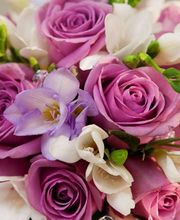 Aux Fleurs de l'Aulne image 3