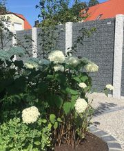 Daniel Moquet signe vos jardins - Ent. Paysage A2 image 2