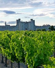 Caveau Les Sablons image 4