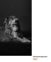 Extro.DIREKT GmbH Bild 16