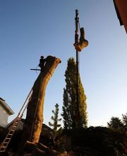 ABDF Bonadei & Chassot Bild 5