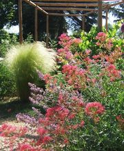 Esprit Jardin image 3