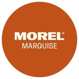 Morel