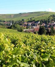 Millet Franck Sarl image 1