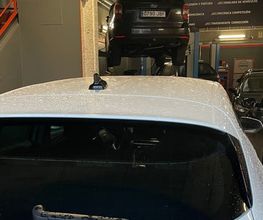 310318704-1-qrsp1F2lQW1770579538248.jpeg
