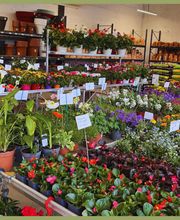 Jardinerie Pontier et Fils Ets image 5