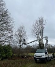 Lacroix David image 15