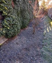 CL Multi Services image 2