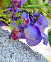 Pompes Funèbres Ain Bugey image 3