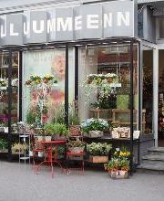 Blumenhaus Wiedikon Bild 2