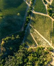 Colbert Properties imagen 1