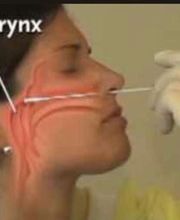 Belkaid Youcef image 1