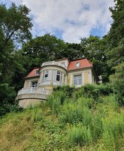 Japima - Malerei, Wandmalerei & Grafik Bild 10