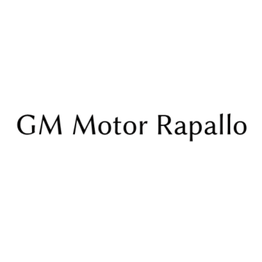 Gm Motor logo