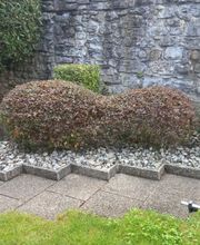 Vivai San Martino Bild 10