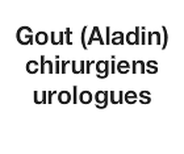 Gout Aladin image 1