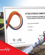 Sundgau Protection Incendie - Destruction Nids De Guêpes et frelons image 7