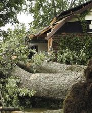 BELFOR Property Restoration (Columbus) image 4