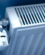 Zulauf Daniel Bild 2