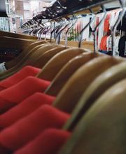 Pilar Prieto imagen 7