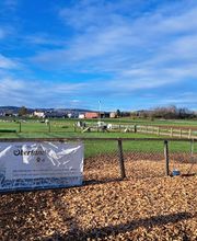 Blättler's Hundeschule Bild 6