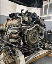 Helvetia Customs Radunovic Bild 1