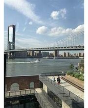 DUMBO House image 14