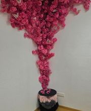 Lashes ´n´more Bild 4