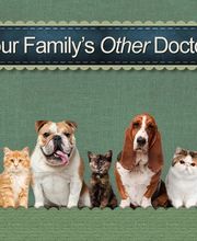 Dogwood Animal Hospital image 7