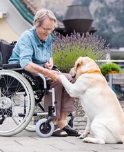 Pflegezentrum Urnersee Bild 6