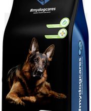 Cuidamos tu perro imagen 8