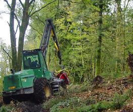 ALLIANCE Forêts Bois image 4