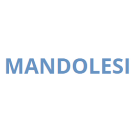 Mandolesi logo
