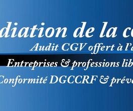 Confluence Médiations Dourdan image 1