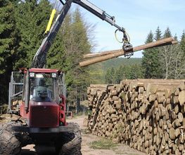 Services Bois et Forêts image 4