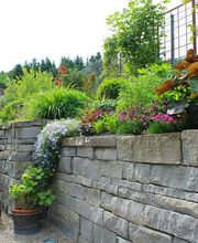 Ribi Gartenbau GmbH Bild 14