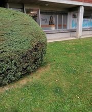 STERRY HAIR STYLIST SAGL Bild 7