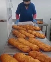 232813410-1-nMmGprSeiL1707050715695.jpeg