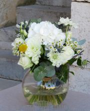 Lily R image 17