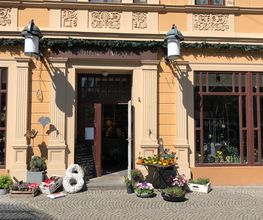 Blumen Meyer Bild 2