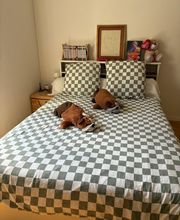 The Organized Home Bild 8