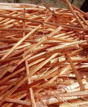 RC Recyclage image 1