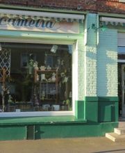 Le Camélia image 1