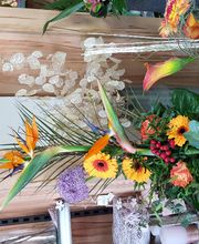 Gartencenter A-Z Velbert GmbH Bild 29