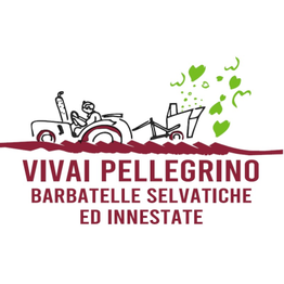 Vivai Pellegrino - Barbatelle Selvatiche ed Innestate logo