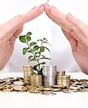 Carmen Assurance image 1