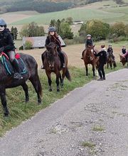 Ecuries Lalye GUILLAUMEE CHANTAL image 18