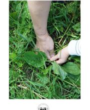 Môm Bien'Naître image 2